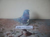 Vintage RON RAY 1993 Small Bird Outside Clear Glass Murano Glass, Desk Top Bed Side Dream C300