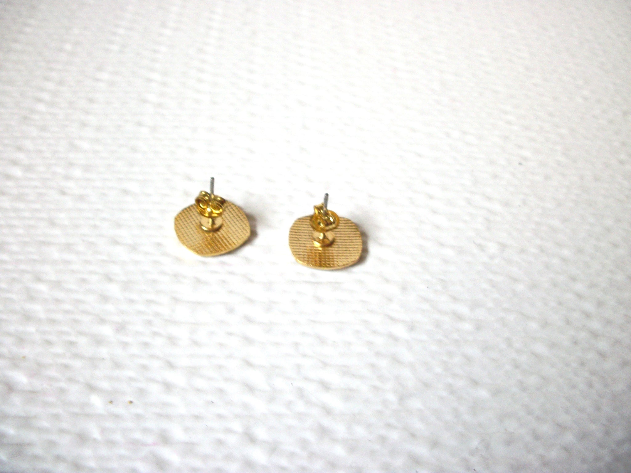 Vintage Smaller Cloisonne Earrings 102520