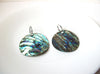 Vintage New Zealand Paua Abalone Shell Earrings 110120