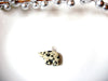 Native American Zuni Bear Dalmatian Jasper Pendant 110120
