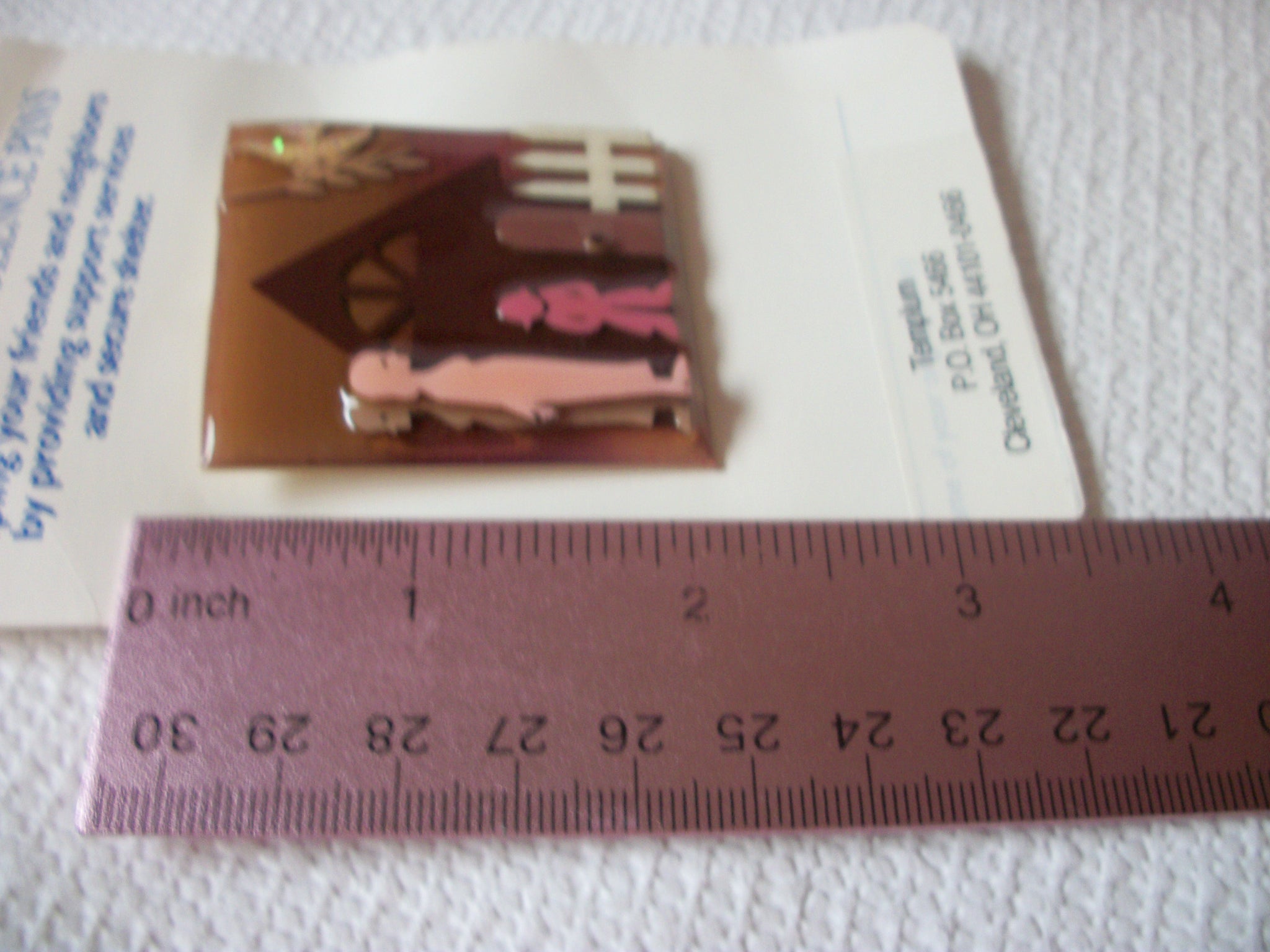 Lucinda House Pins, Domestic Violence Designs By Lucinda 80217