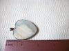 Oyster Paua Shell MOP Pendant 10416