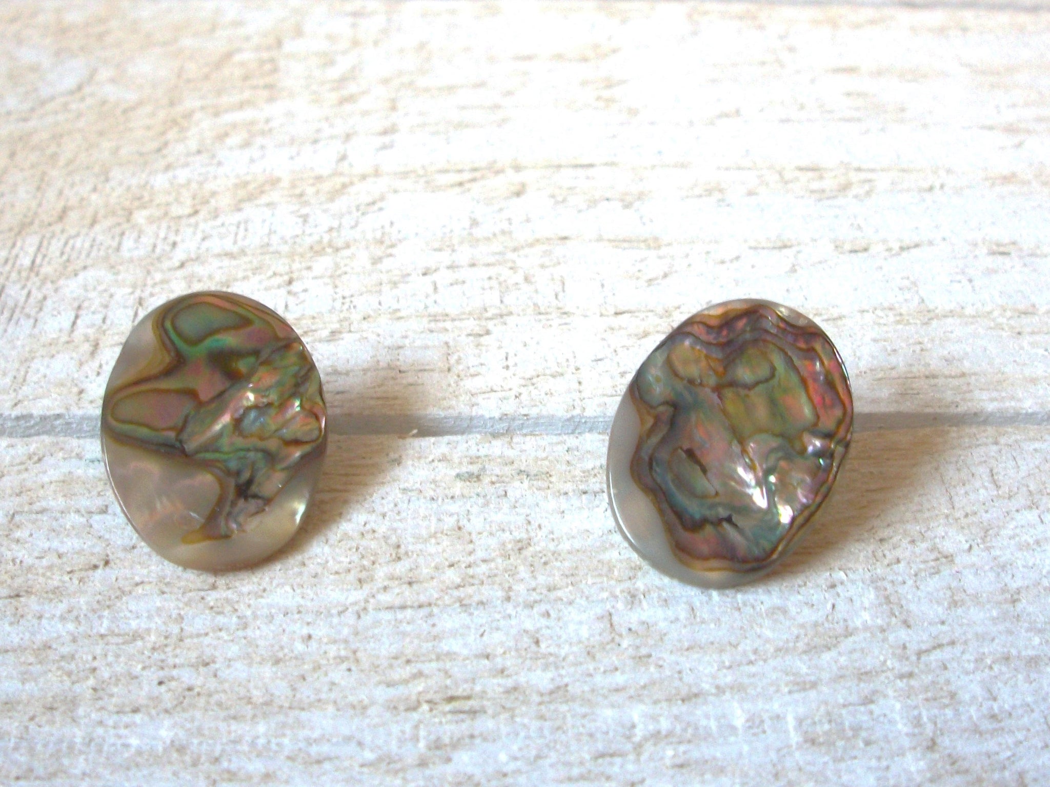Paua Abalone Earrings 61520