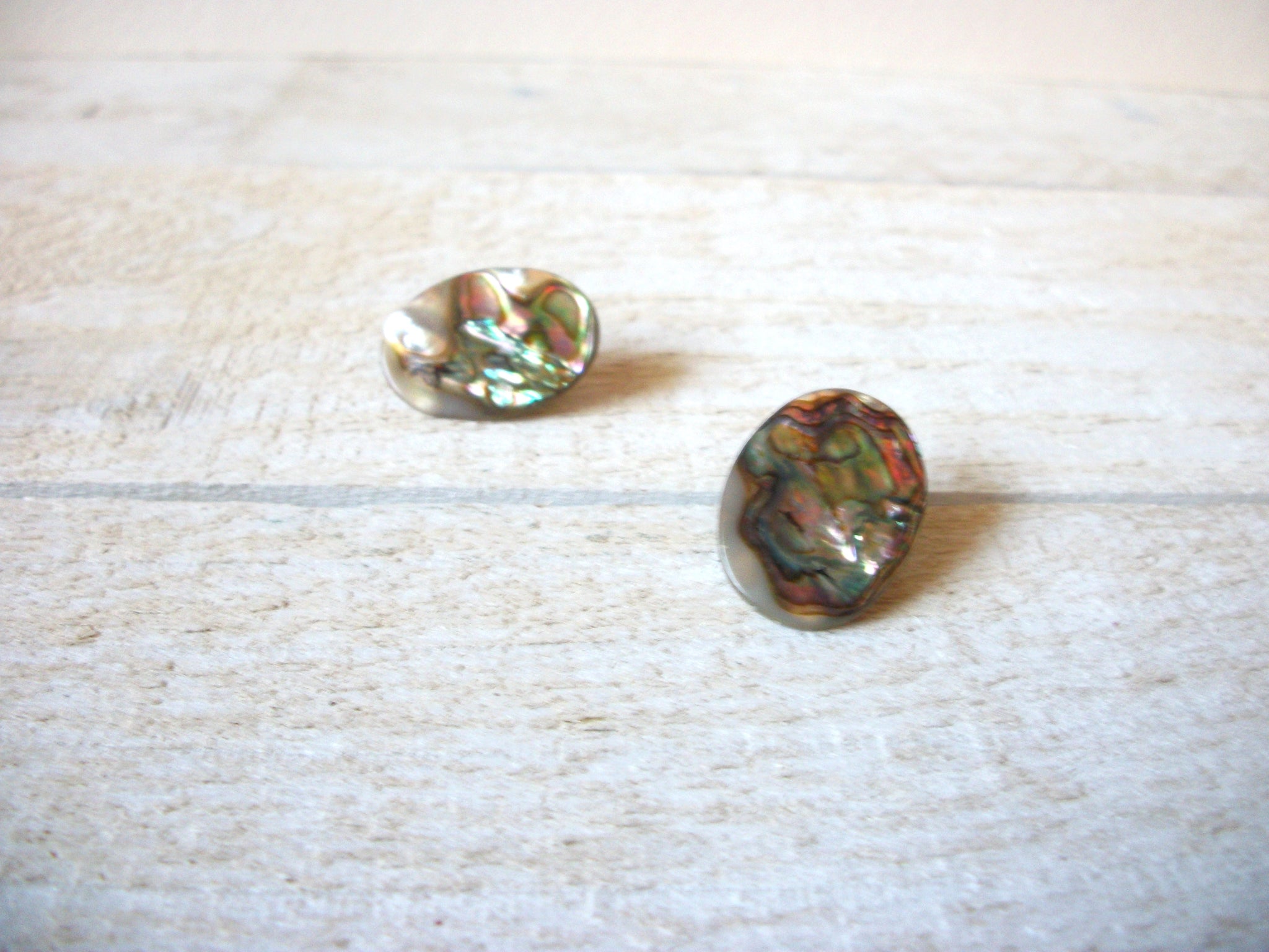 Paua Abalone Earrings 61520
