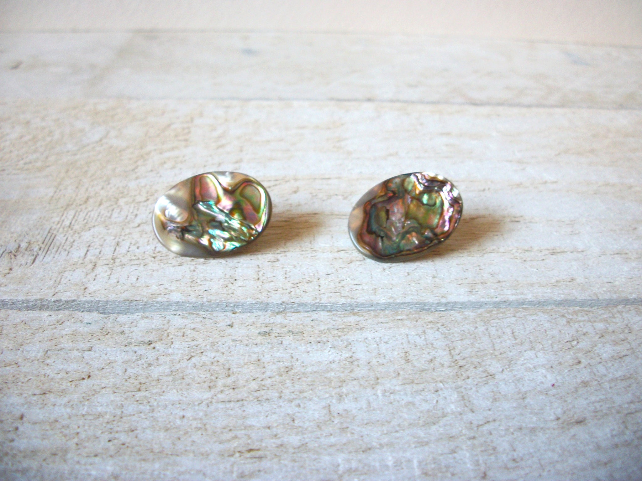 Paua Abalone Earrings 61520
