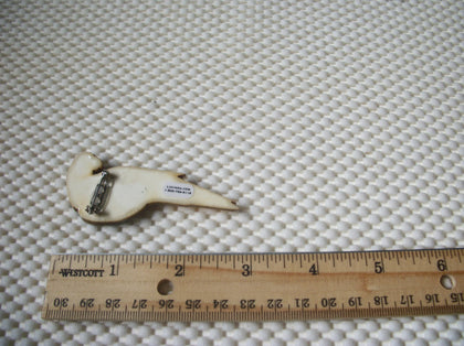 HTF! RARE Lucinda Exotic Bird Macaw Colorful Bejeweled With Rhinestones Island