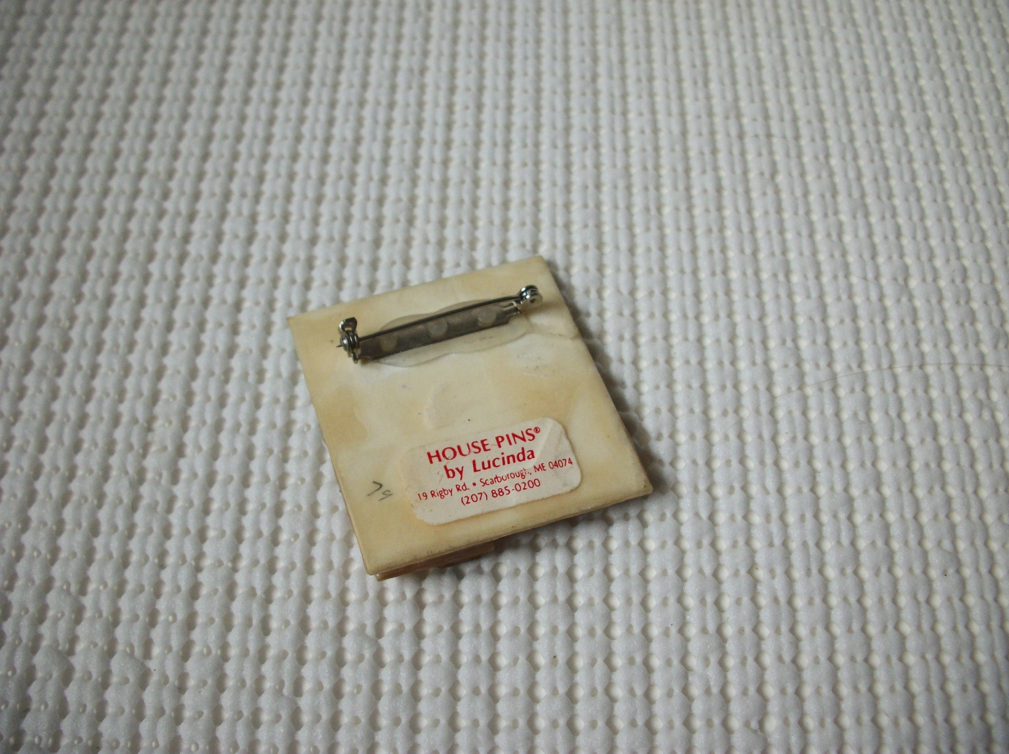 Vintage Lucinda House Pins, Colorful Serenity Peace Calm Pink Fence Dream Home, 021321