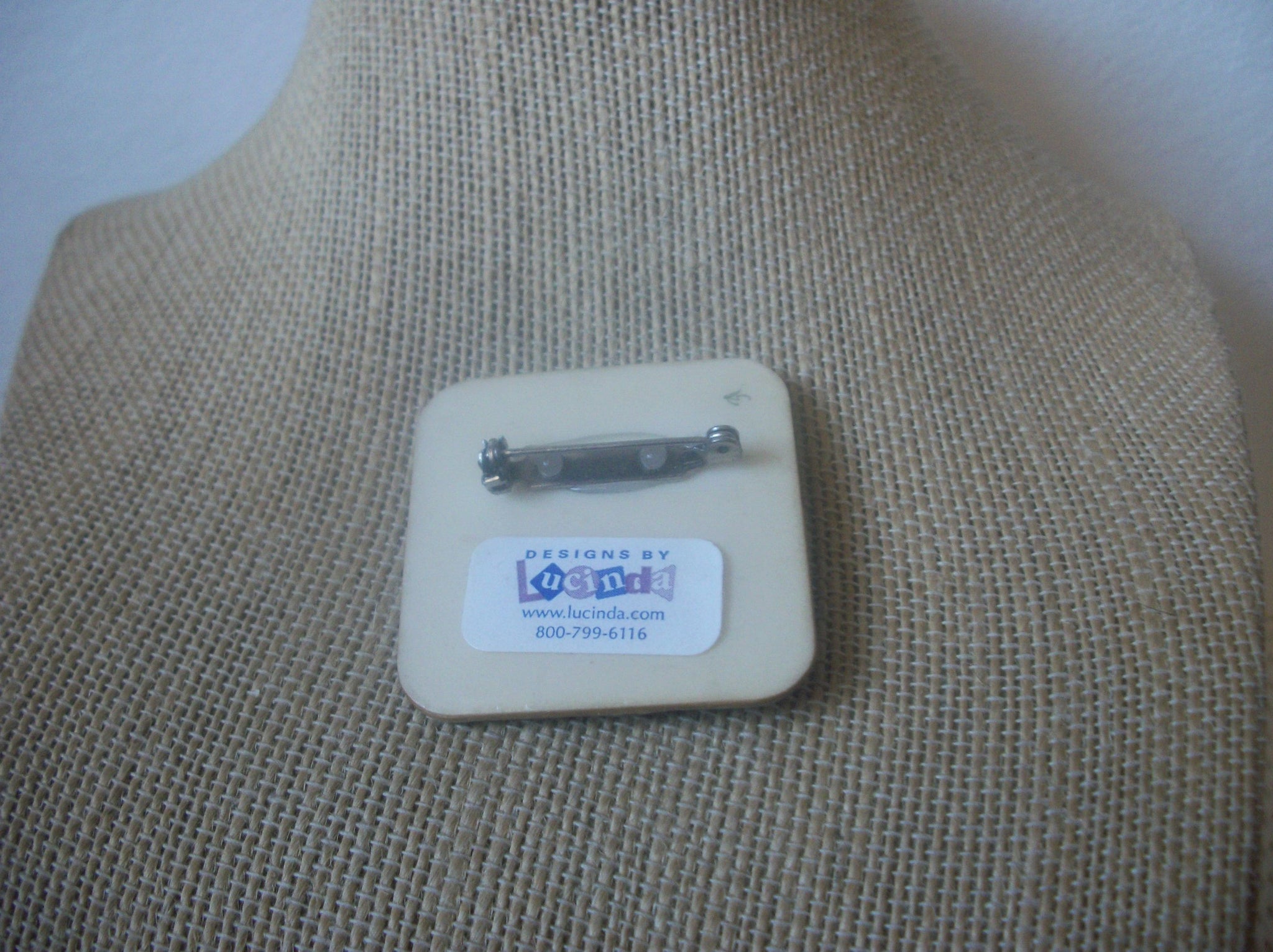 RARE Lucinda Woman Pins, Hard Working Girl Doing Construction Building 021321