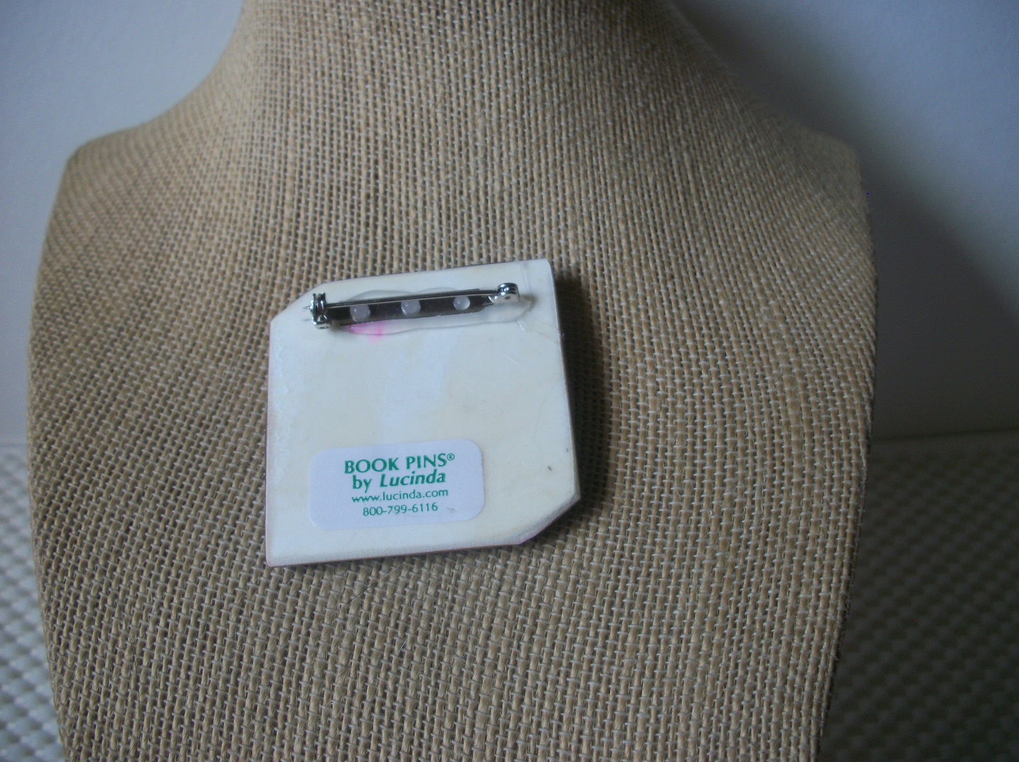 Highly Detailed Lucinda Book Pins Power Read Stars Graduate 61318
