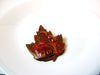 Vintage Lucinda House Pins Fall Leaf Glitter Pins By Lucinda 102420