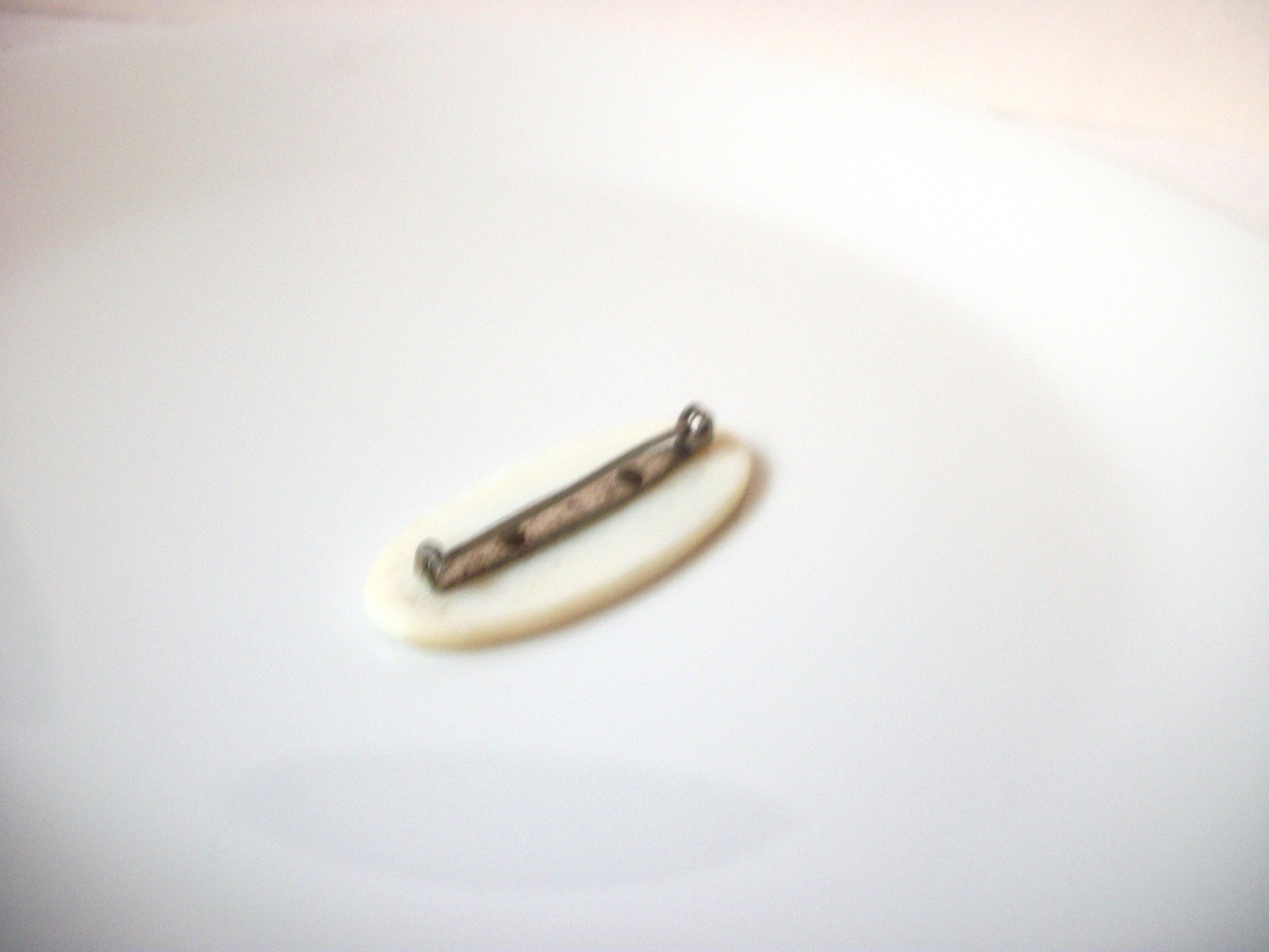 Vintage Painted Mother Of Pearl Brooch Pin 111120