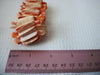 Natural Shell Large Size Bracelet 40620