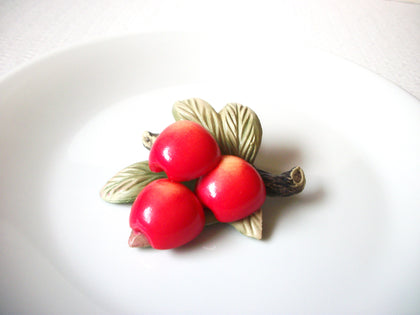 Vintage 1950s Larger Fruit Cellulose Brooch Pin 121420