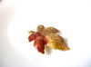 Vintage Maple Leaf Rhinestone Brooch Pin 121620
