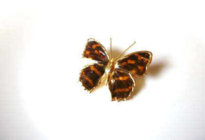 Vintage Tiger Butterfly Insect Brooch Pin 121920