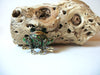 Rhinestone Frog Brooch 72420