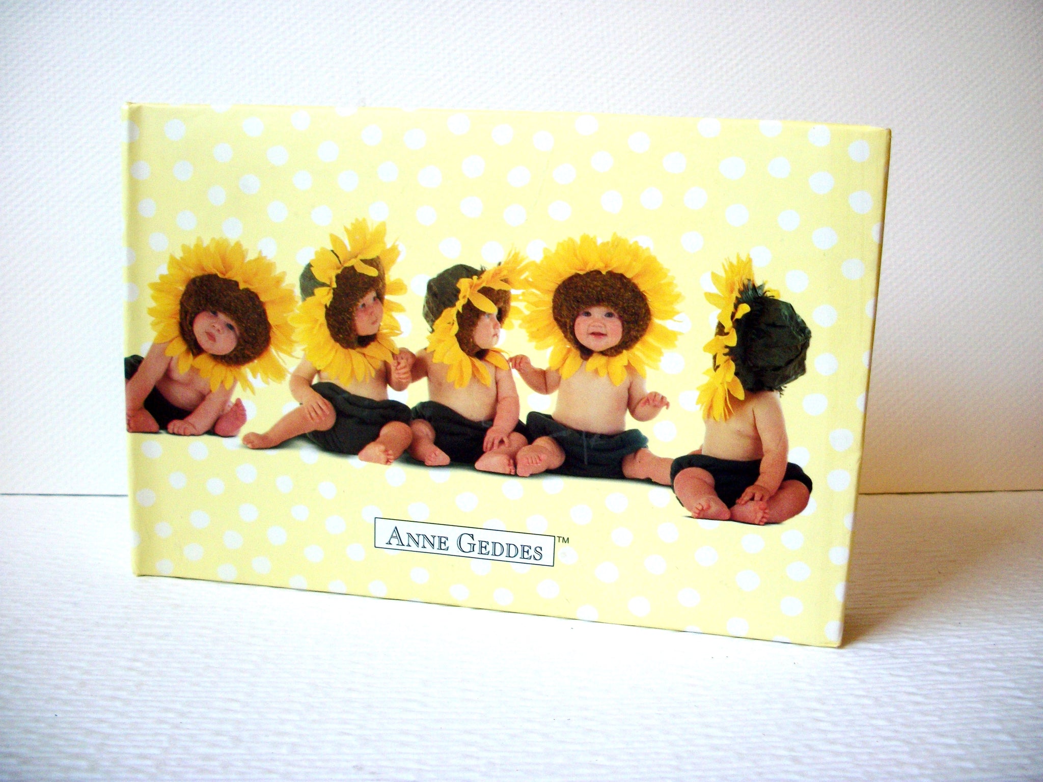 Vintage Anne Geddes Photo Album Baby Sunflowers 4x6 80 Photos